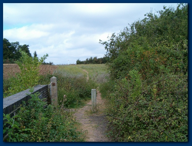 600x449 pixels (162K)